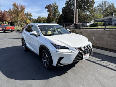 2019 Lexus NX